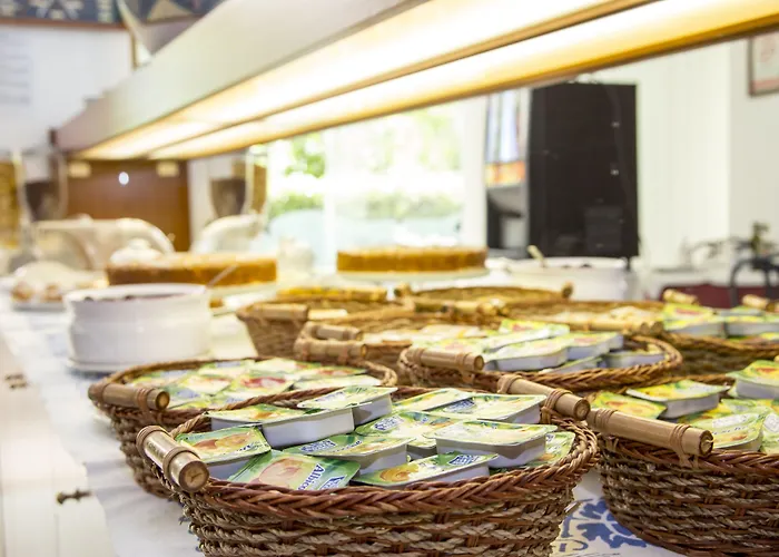 花园酒店 酒店 里乔内