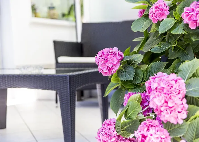 花园酒店 酒店 里乔内